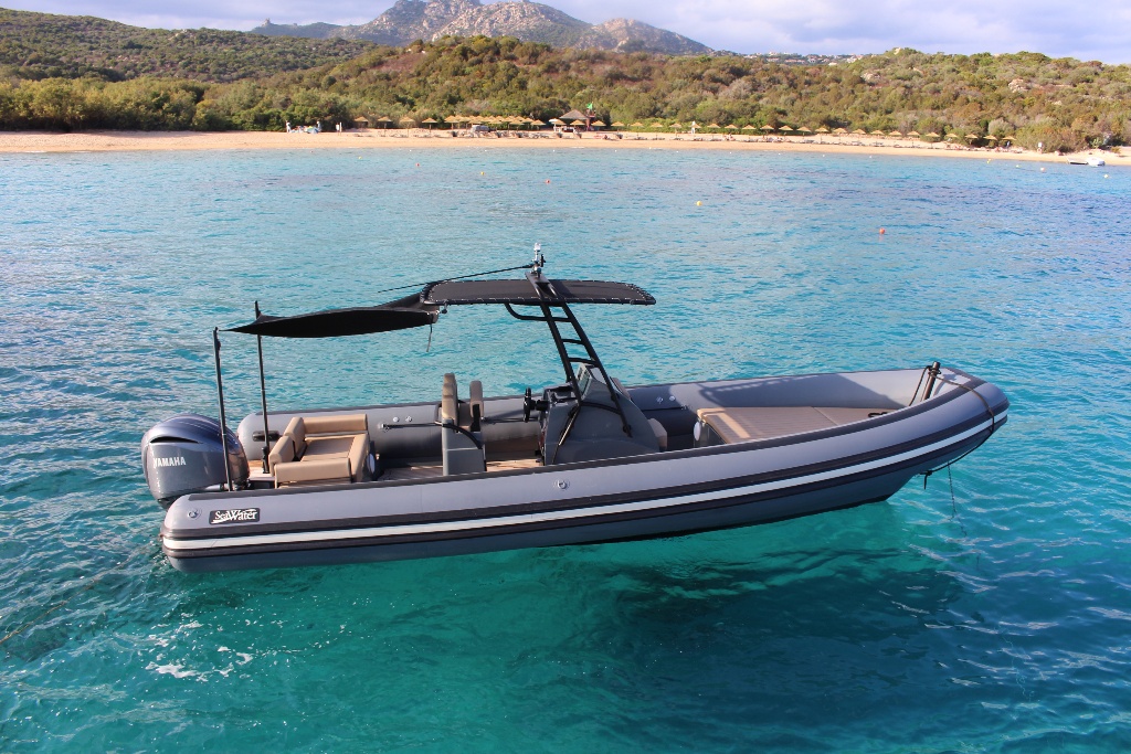 Sea Water Phantom 260